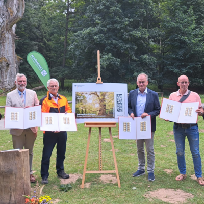 praesentation-briefmarke-ivenacker-eichen.jpeg